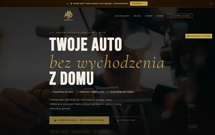 Zrzut ekranu strony AMD Detailing